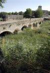 Imagen Puente Viejo